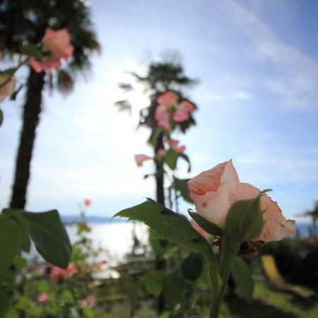 Tramontana Leeward - Cozy And Charming Apartment In Beautiful Volosko Abbázia Kültér fotó